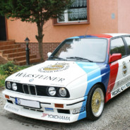 szybki ginal