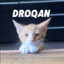 DROQAN