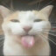 :p