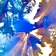 Kẻ Ăn Mày Trắng Tay