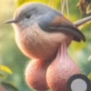 Bellius L. Oofleshnootz