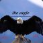 the eagle ¯\_(ツ)_/¯