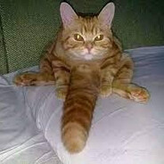 ᴮᴬᴰʙᴏʏツ