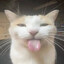 dont narcan me