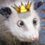 Roi Opossum