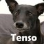 Tenso/csgoatse.com