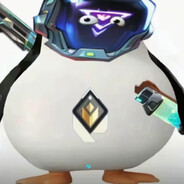 马达加斯加第一KO