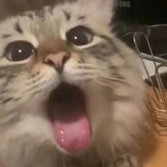 场地圭介我男人