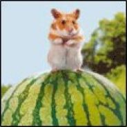 Hamster