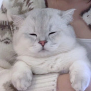 烟雾散去爱意弥漫