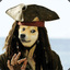 Doge Sparrow