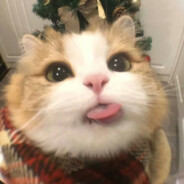 我与春风皆过客