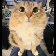 †𝐌𝐄𝐑𝐊𝐒𝐔𝐒