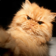 CatEviL