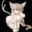 Horny Cat's avatar