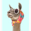 llamama