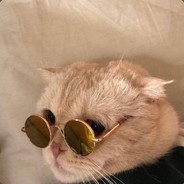 可惜你不是水瓶座