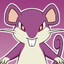 Rattata