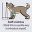 tristenpuppy