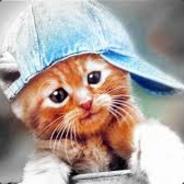 Бородач в 12 поколении