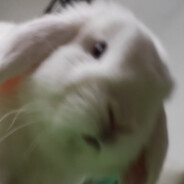 Len