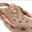 The Croc