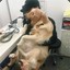 来训练靶场看我击靶