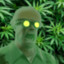 inzynier i weed