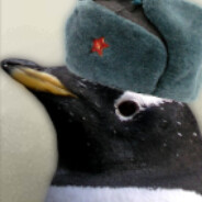 illustrated handbook