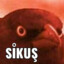 s1kuş