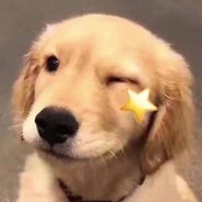 晚霞换月吻鼓楼