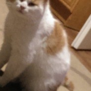 FLUKENS - steam id 76561198281682276