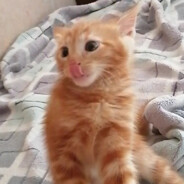 Zaraza - steam id 76561199832433459