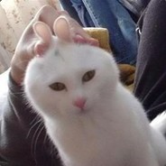 卧槽，三楼出了六双鞋