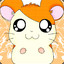 ็HamTarO &lt;3