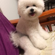 大威天龙世尊菩萨大罗法咒般若诸佛般若巴麻哄