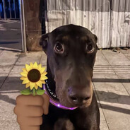 纯情蟑螂炒腋毛