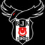 BJK KenZZ +