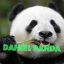 ๖ۣۜFrostNoVa .:Sniper Panda: