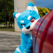 Furry_夜狼顏犬良