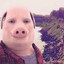 John Pork