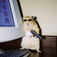 打匪没思路 打警没AK