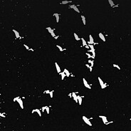 Avatar snapshot