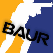 BAUR - steam id 76561199528541851