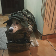 cro-magN0N - steam id 76561198415125118