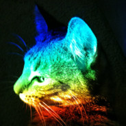 ﭥ๑ Kitty ๑ﭥ