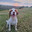 tolley avatar
