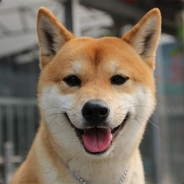 dogfly