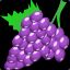 Grape93