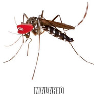 Malario [AFD Wähler]